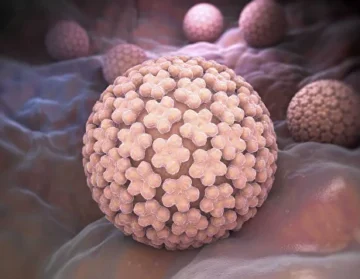 Everything you need to know about HPV and testing1