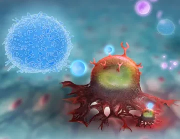 Tumor necrosis factor TNF1