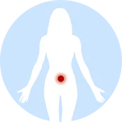 肿瘤缩小至10×9 mm，淋巴结消失