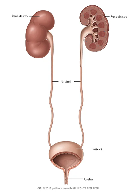 prognosis of the disease1